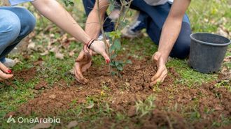 UAE Gen Z's Growing Demand For Green Jobs