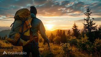 UAE's August Travel: Diverse Trends