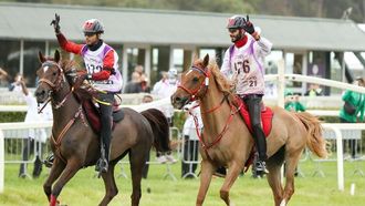 فريق الإمارات في كأس القدرة