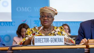 Early WTO Director-General Selection Push