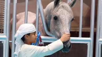 ADIHEX 2024: Innovation Meets Tradition