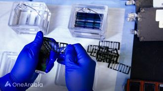 تطوير تشخيص الأمراض الوراثية