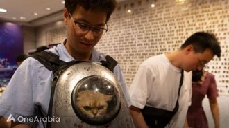 الحيوانات الأليفة في الصين تتفوق على عدد الأطفال الصغار