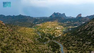 Agricultural Growth In Taif & Maysan