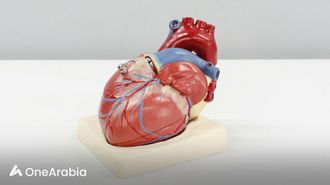 تأثير الدم الكثيف على النبض