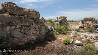 تم العثور على جزء من أفروديت في شبه جزيرة القرم