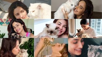 Stars & Their Cats