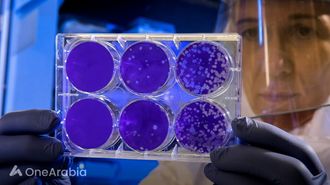 بكتيريا الفم تساعد في علاج السرطان