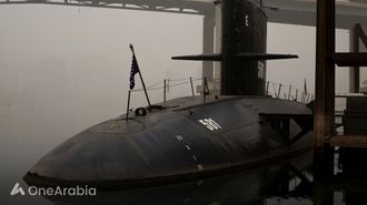 عائلة نارجوليت ترفع دعوى قضائية بقيمة 50 مليون دولار