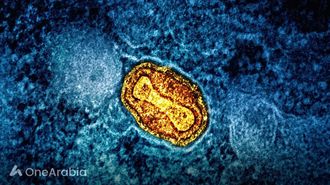 ECDC On Mpox: Enhance EU Preparedness