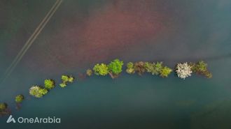 هل تمتد سيول السعودية إلى مصر؟