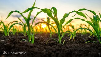 Explore Global Agri-Tourism Trends