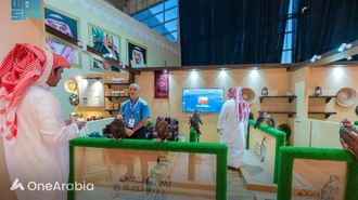 Czech Falcons Soar At Global Auction