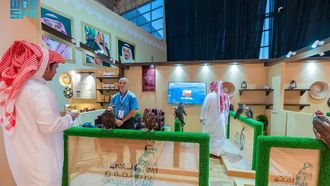 Karate Coach To Falconry Star