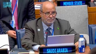 Kingdom's UN Geospatial Role