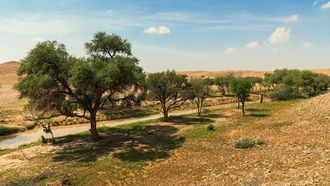 Royal Reserve's Nature Conservation