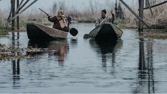 Kahwa: Kashmir’s Post-Wani Tale