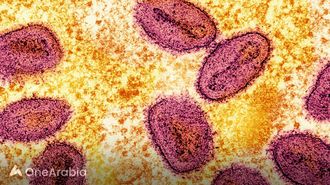 ارتفاع أسهم شركات الأدوية وسط أزمة صحية