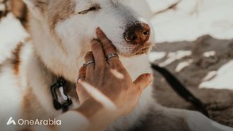 طريقة جديدة لتخفيف الألم المزمن