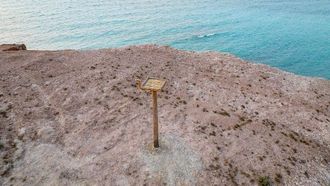 أعشاش صناعية لطيور العقاب في الشارقة