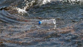 العثور على فطريات تأكل البلاستيك