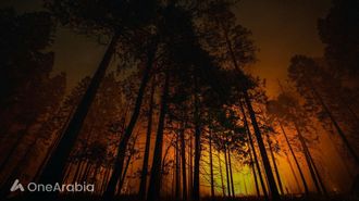 Rise In Global Wildfires