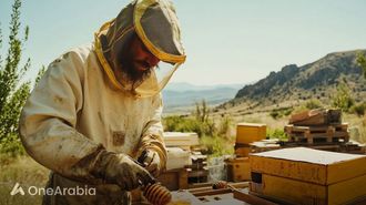 Saudi Reserve Becomes Honey Hub