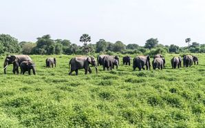 Explore Sri Lanka's Hidden Gems