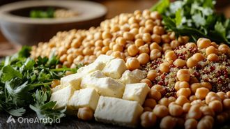 Top Vegetarian Protein Sources