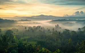 Snag Top UAE Travel Deals