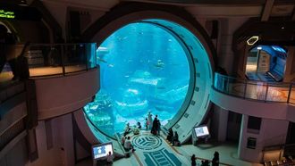 ملاذات المرح الصيفية في الإمارات العربية المتحدة