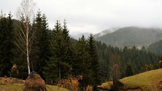 Wizz Air Launches New European Routes