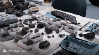 العثور على أقدم حفريات الديناصورات في البرازيل