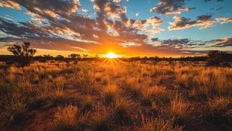 15-Minute Cities: Australia Lags Behind Global Leaders