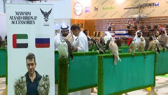 Russian Falcons Shine At ADIHEX