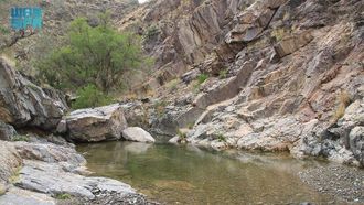 اكتشف الجلال: أعجوبة الطبيعة