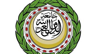 Arab Ministers Address Israeli Aggression