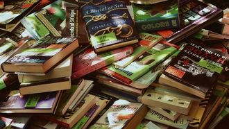 Boost Your Goodreads Challenge With Quick Reads
