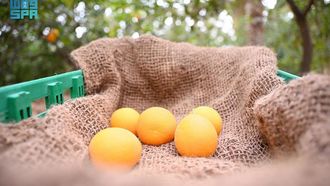 Key Crops At Risk From Climate Change