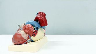 علامات حاسمة تشير إلى الإصابة بنوبة قلبية