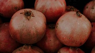 حصاد الرمان ٢٠٢٤ في عمان