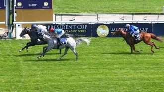 الإمارات العربية المتحدة تتصدر رياضة الفروسية