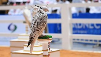 ADIHEX Honors Falconry Excellence
