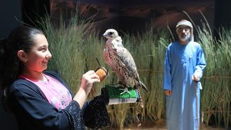 انطلاق الموسم التاسع لمدرسة الصيد بالصقور