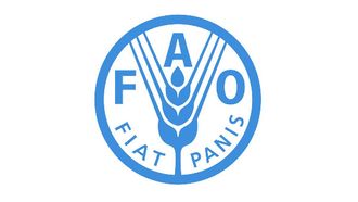 Food Prices Dip In August