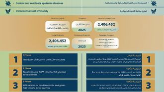 حملة تطعيم كبرى للثروة الحيوانية في أبوظبي