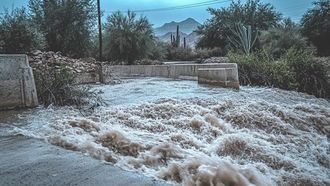 Oman Rainfall Causes Study Suspensions