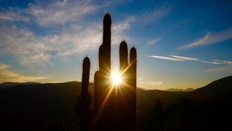العلماء الروس يرصدون توهجا شمسيا قويا