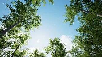 مبادرة إنقاذ الطبيعة لبنك رويا