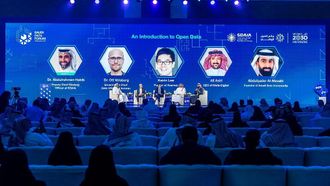 Saudi Arabia Tops UN E-Government Index 2024